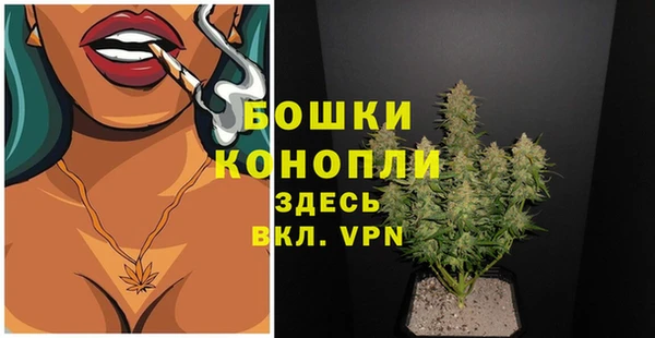 ГАЛЛЮЦИНОГЕННЫЕ ГРИБЫ Дмитриев