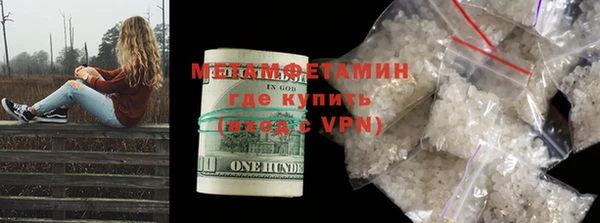 ГАЛЛЮЦИНОГЕННЫЕ ГРИБЫ Дмитриев