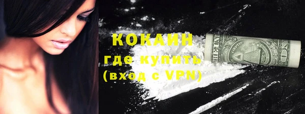ГАЛЛЮЦИНОГЕННЫЕ ГРИБЫ Дмитриев