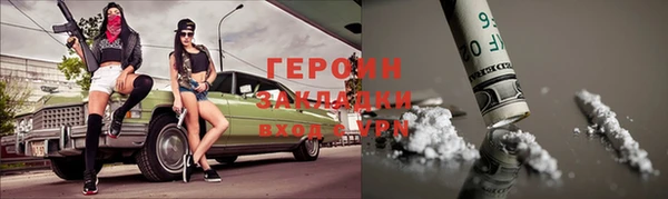 ГАЛЛЮЦИНОГЕННЫЕ ГРИБЫ Дмитриев