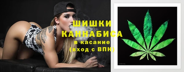 соль ск Дмитров