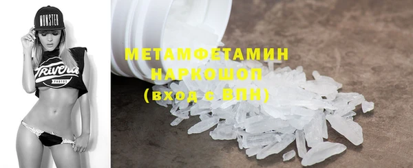 ГАЛЛЮЦИНОГЕННЫЕ ГРИБЫ Дмитриев