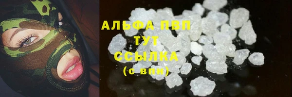 соль ск Дмитров