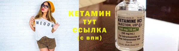 ГАЛЛЮЦИНОГЕННЫЕ ГРИБЫ Дмитриев