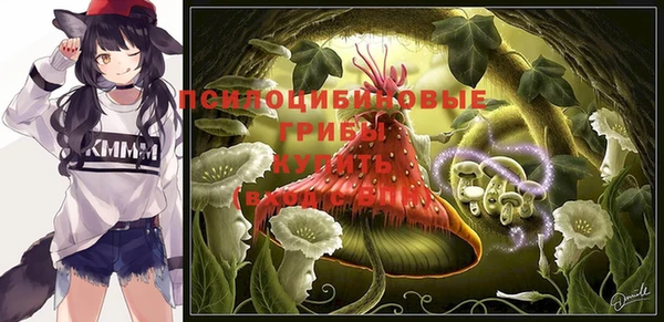 ГАЛЛЮЦИНОГЕННЫЕ ГРИБЫ Дмитриев