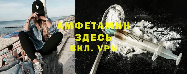 ГАЛЛЮЦИНОГЕННЫЕ ГРИБЫ Дмитриев