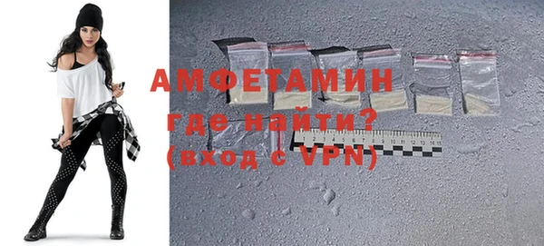 ГАЛЛЮЦИНОГЕННЫЕ ГРИБЫ Дмитриев