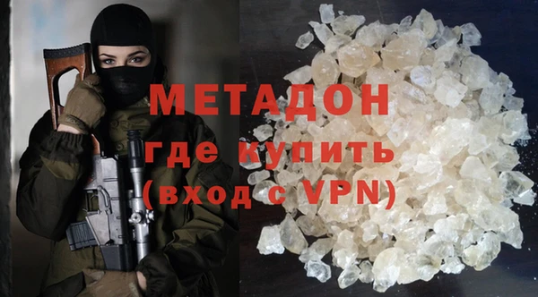 ГАЛЛЮЦИНОГЕННЫЕ ГРИБЫ Дмитриев