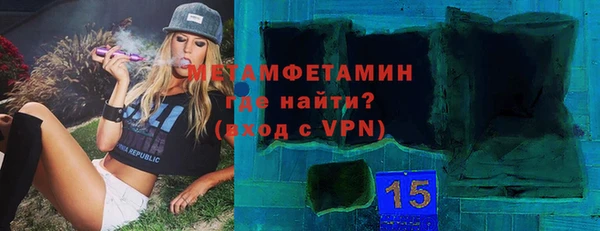 ГАЛЛЮЦИНОГЕННЫЕ ГРИБЫ Дмитриев